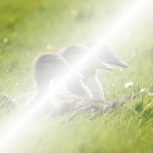 Beispiel für den Ebenenmodus Bildschirm